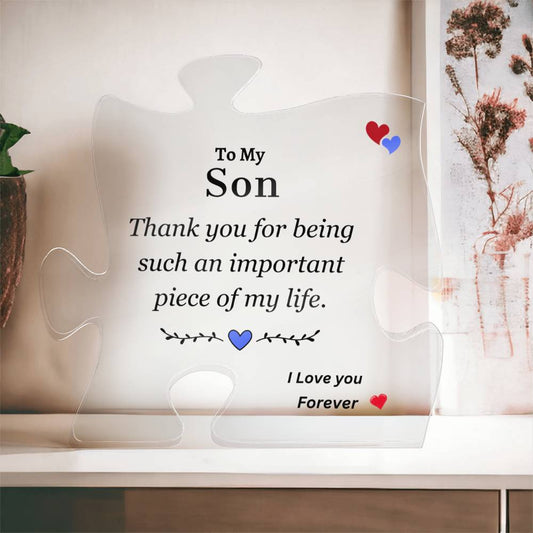 To My Son | Important Piece of My Life | Printed Acrylic Puzzle Plaque