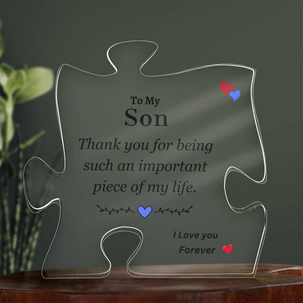 To My Son | Important Piece of My Life | Printed Acrylic Puzzle Plaque